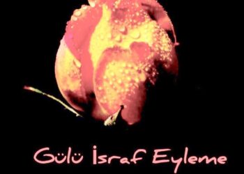 Gülü İsraf Etme Kitabı