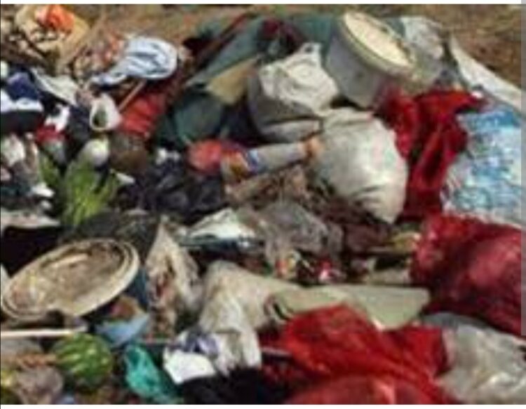 Çöplükteki Sancı