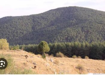Bozok Yaylasının Şiirin İli Yozgat’ı Gelip Görmelisiniz?