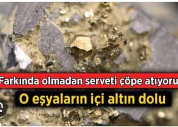 Altın Değerindeki Serveti Çöpe mi Atıyoruz?