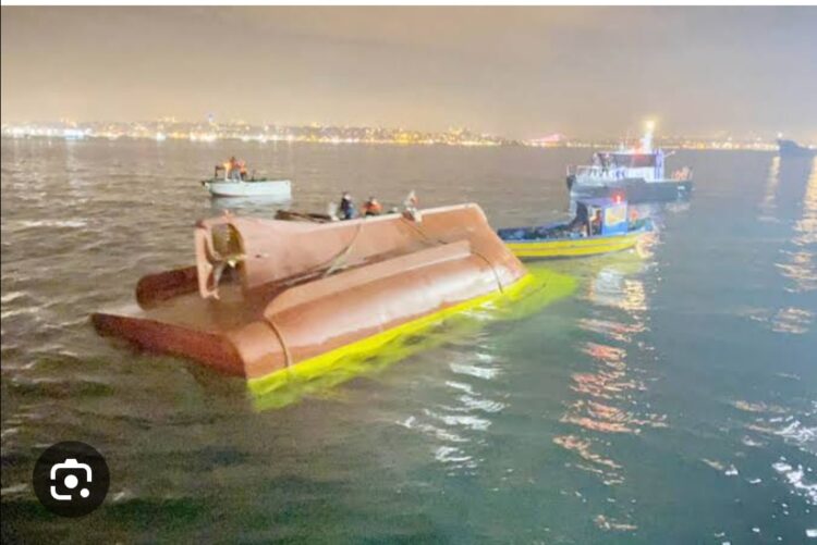 Gölde Ters Dönmüş Kayık