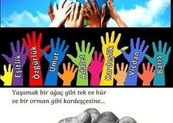 Dünya İnsan Hakları