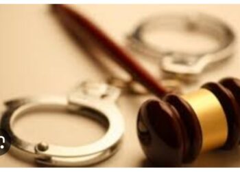 Eylemde Suçlu Aramak