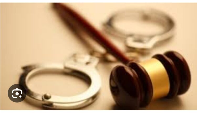 Eylemde Suçlu Aramak