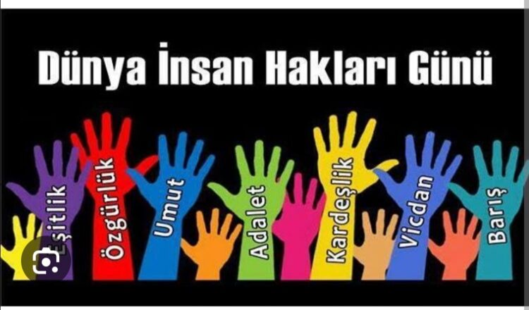 İnsan Hakları