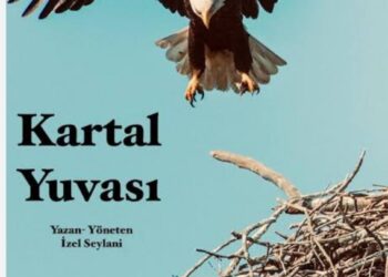 Kartal Yuvası
