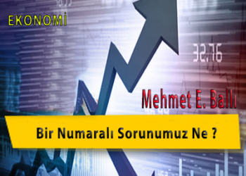 Bir Numaralı Sorunumuz Ne?