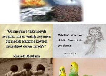 Su-Ateş-Toprak-Muhabbet