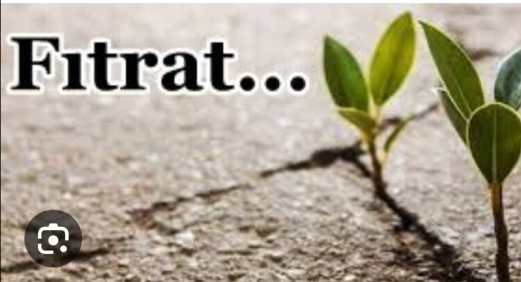 Fıtrat
