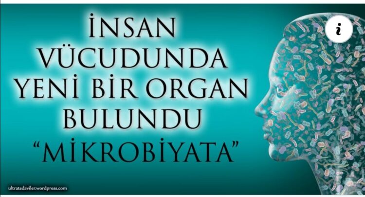 İnsan Vücudunda Yeni Bir Organ…