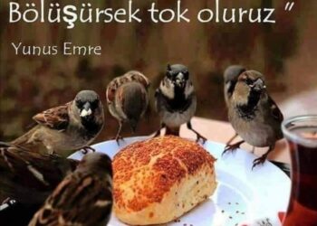 Paylaştıkça Mutlu Oluruz!