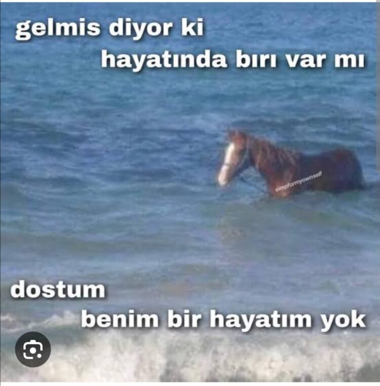 Şekip Işık Diye Bir Dostum Vardı Benim