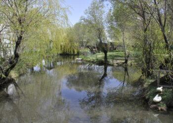 Hiçliğimi Yudumlarken