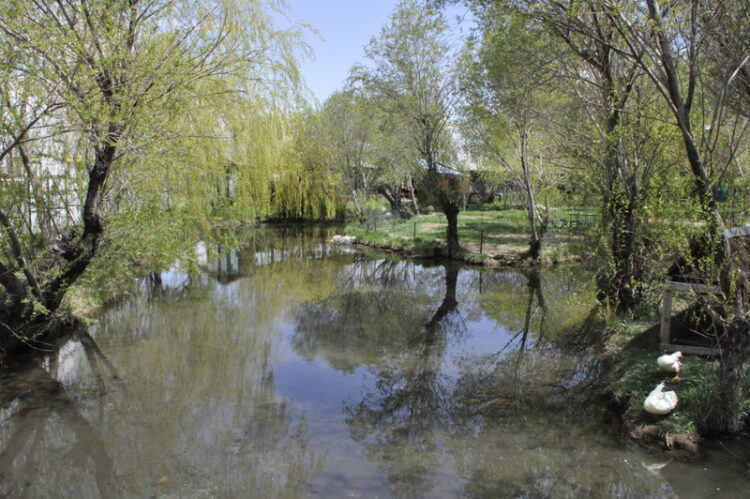 Hiçliğimi Yudumlarken