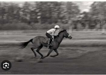 Dörtnala Koşuyorduk Biz