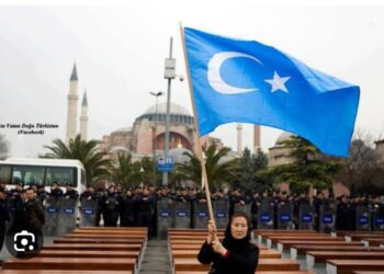 Yüzyılın İtirafları