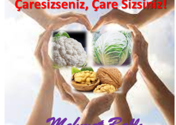 Çaresizseniz Çare Sizsiniz!