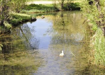 Sana Koşuyorum Nefesten Öte