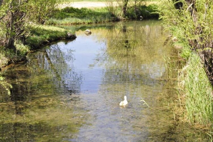 Sana Koşuyorum Nefesten Öte