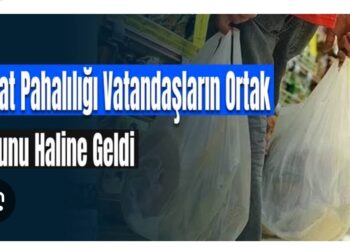 Sizce Hayat Pahalılığı Neden Önlenemiyor?