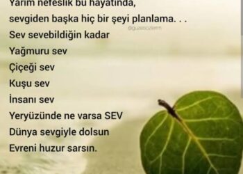 Sevgiden Güzel Ne Var?