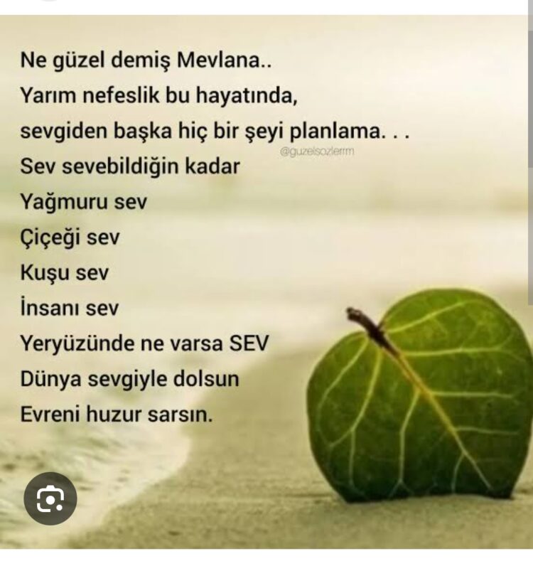 Sevgiden Güzel Ne Var?