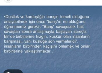 Barışın Barışmadığı İlkeler