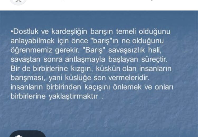 Barışın Barışmadığı İlkeler