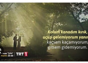 Kolu Kanadı Kırıldı Kara Kışın