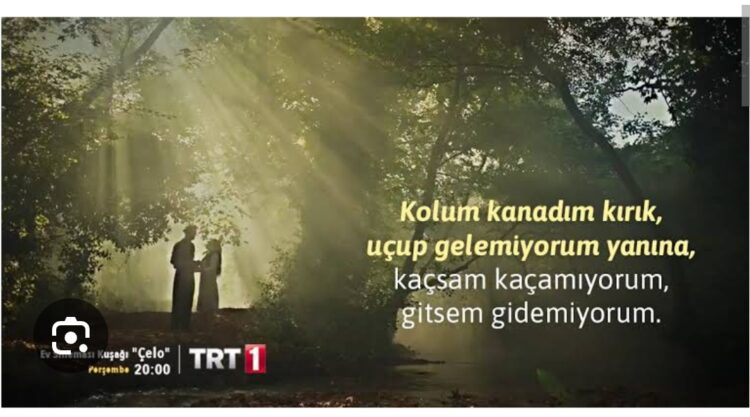 Kolu Kanadı Kırıldı Kara Kışın