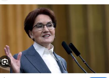 Orman Kurudu (İyi Partide Olduğu Gibi)