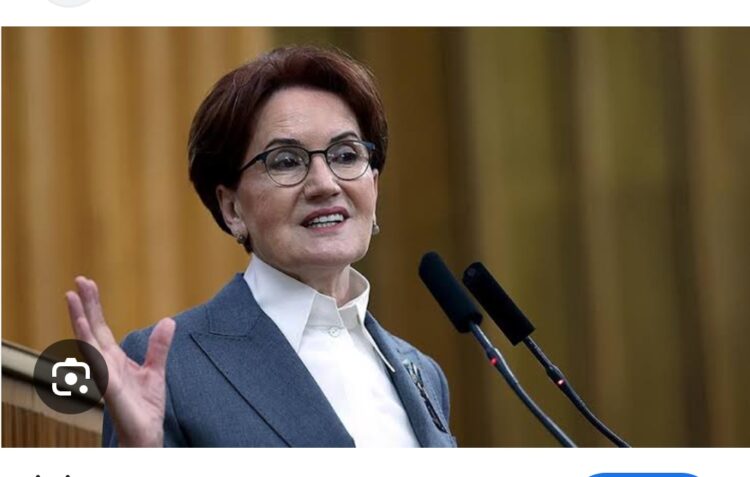 Orman Kurudu (İyi Partide Olduğu Gibi)