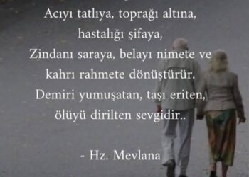 Hayatın Özlü Noktaları