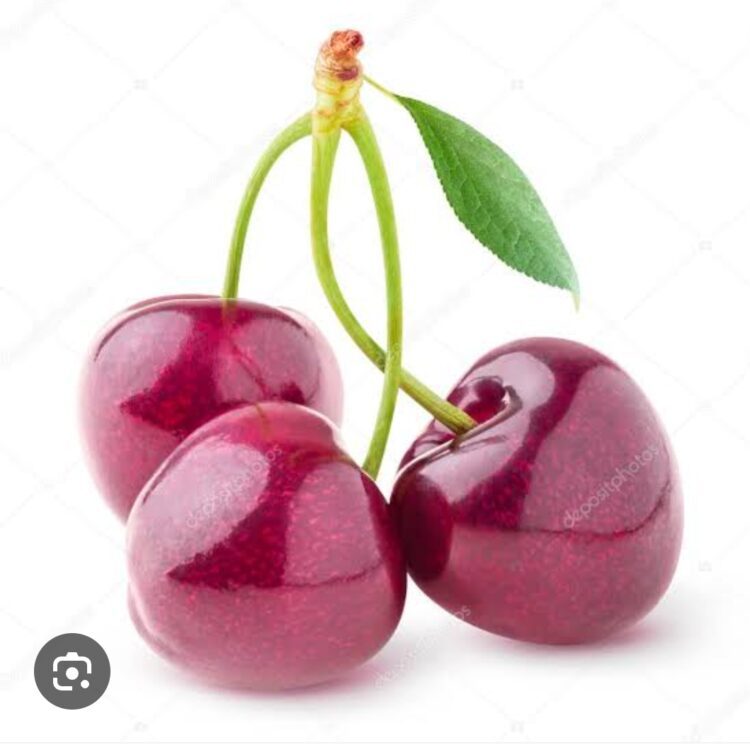 Bir Yaprak Bir Meyve