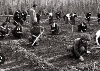 Köy Enstitüleri-Bozkırda Açan Çiçekler