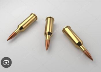 Saçmasız Tüfek Mermisi