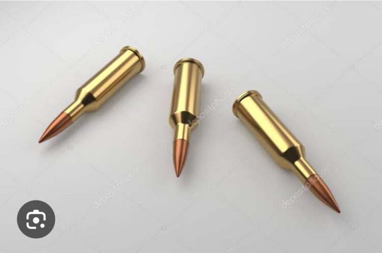 Saçmasız Tüfek Mermisi