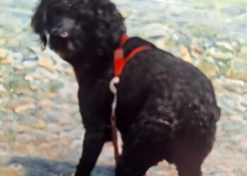 “Uyutulma” mı Dediniz?