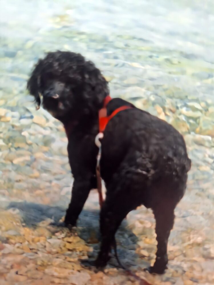 “Uyutulma” mı Dediniz?