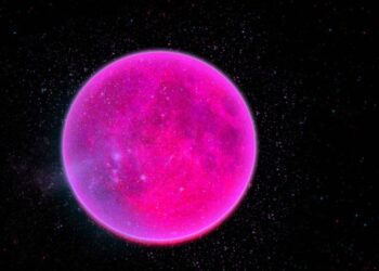 Başka Gezegenlerin İnsanları…