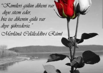 Ne Yakınıp Duruyorsun, Dikeni Var Diye Gülün?