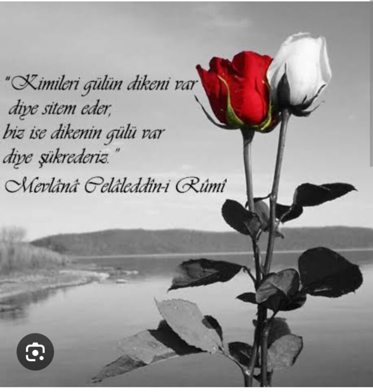 Ne Yakınıp Duruyorsun, Dikeni Var Diye Gülün?