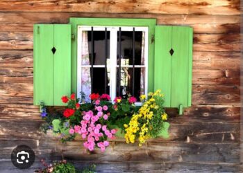 Yeşil Pencerenden Bir Gül At Bana