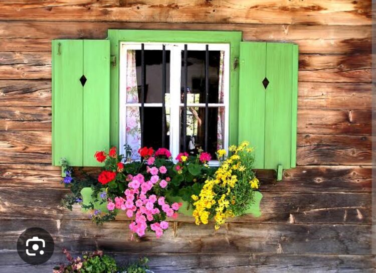 Yeşil Pencerenden Bir Gül At Bana