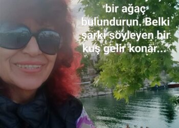 Kafka’nın Mutluluğu