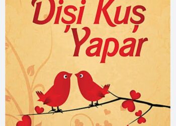 Yuvayı Dişi Kuş Yapar