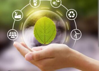 Vatanseverlik Kul Hakkı ve Çevre Duyarlılığı?