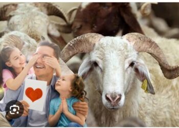 Babalar Günününüz ve Kurban Bayramınız Kutlu Olsun