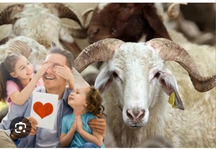 Babalar Günününüz ve Kurban Bayramınız Kutlu Olsun