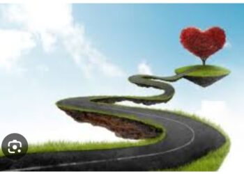 Erkeğin Kalbine Giden Yol